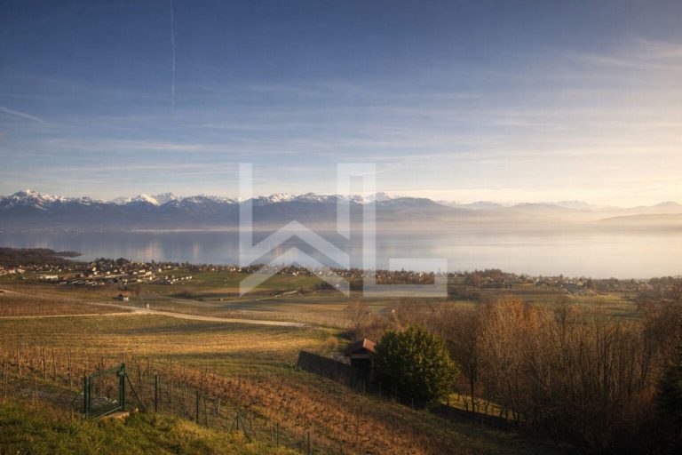 Properties Weibel & Loeb Real Estate