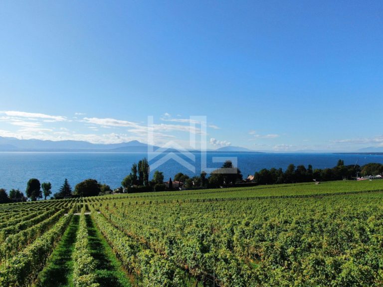 Properties Weibel & Loeb Real Estate